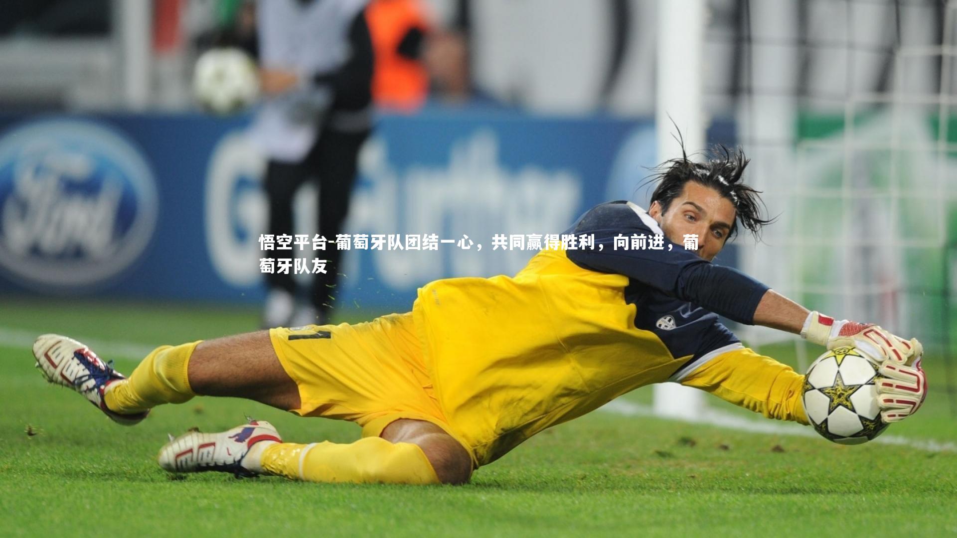 葡萄牙队团结一心,共同赢得胜利,向前进,葡萄牙队友