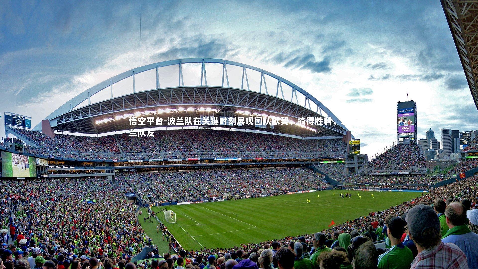 波兰队在关键时刻展现团队默契，摘得胜利，波兰队友