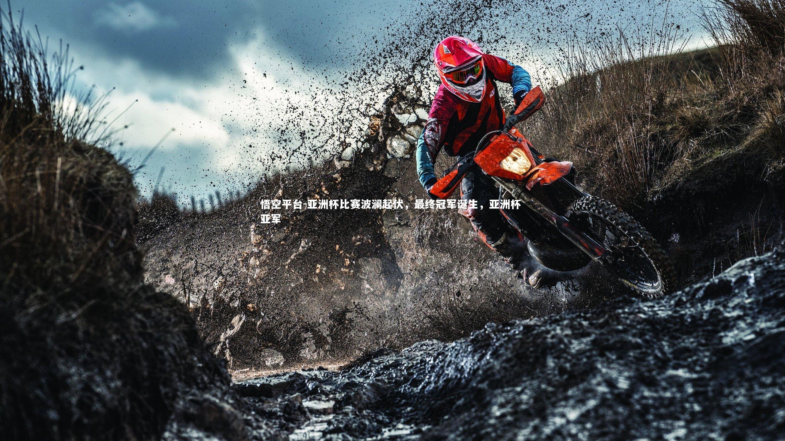 悟空平台-亚洲杯比赛波澜起伏，最终冠军诞生，亚洲杯 亚军